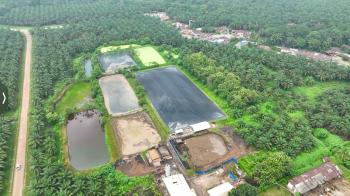 dua-pltbg-ini-jadi-andalan-palmco-tekan-biaya-energi-di-tengah-gejolak-global